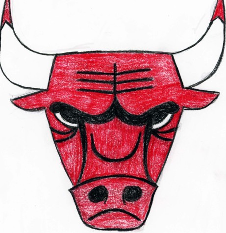 Chicago Bulls on path to successful season