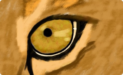 Through a Lion’s Eye