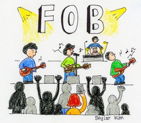 Fall Out Boy polarizes fans