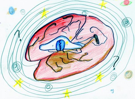 Concussions: cause for concern?