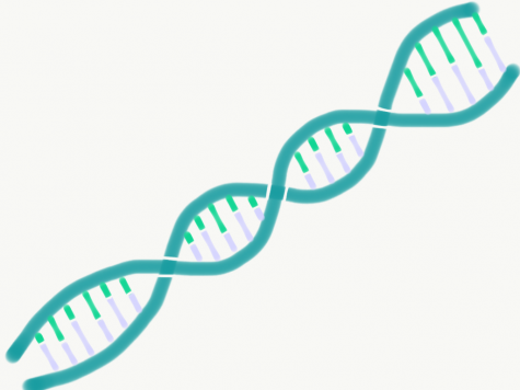 DNA discovery foreshadows life