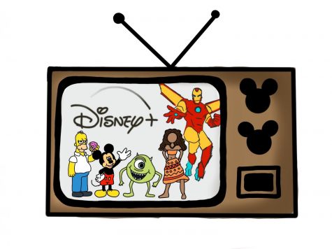Disney streaming service provides competition for Netflix