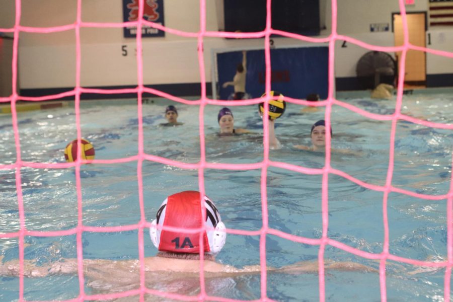 Co-ed water polo team practices in the pool. 
