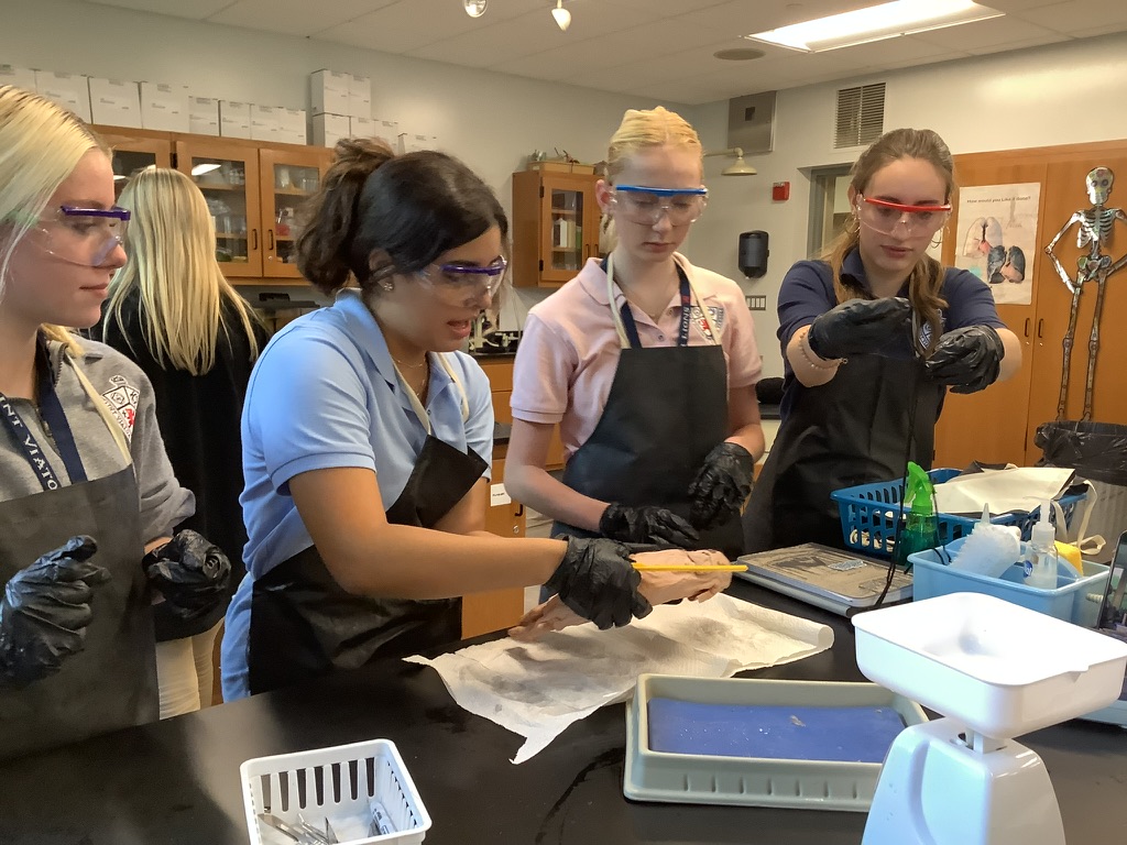 Forensics students carefully dissect a fetal pig as part of a lab in class.