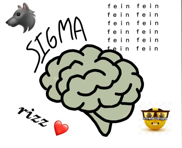 Sigma slang skibidies on brain