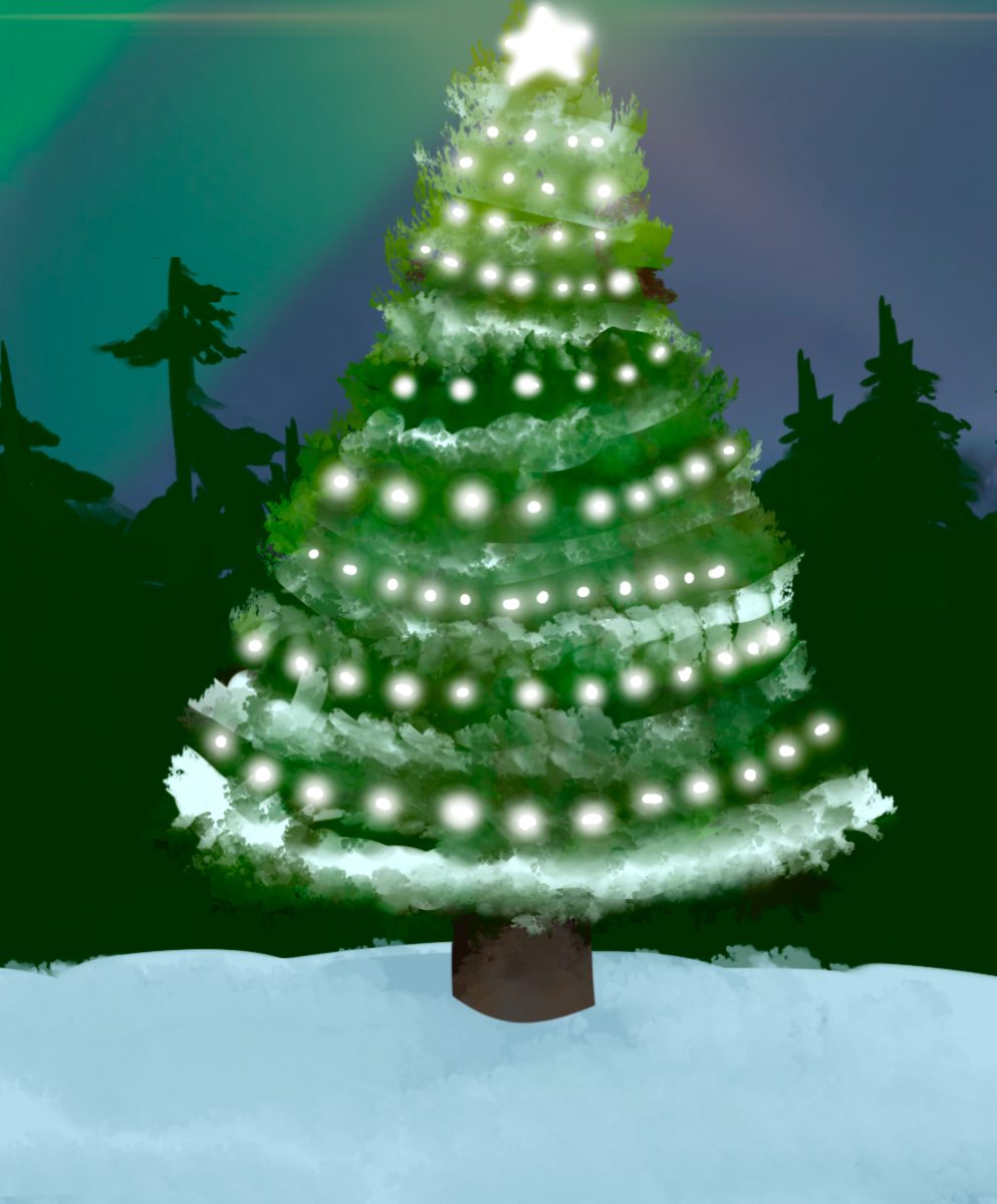 Lions embrace Christmas spirit